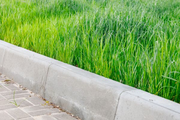 Cost of Concrete Curb Repair in Baton Rouge