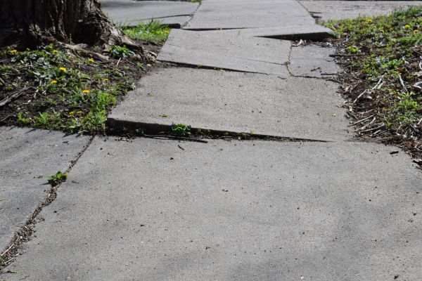 Cost of Trip Hazard Removal in Baton Rouge